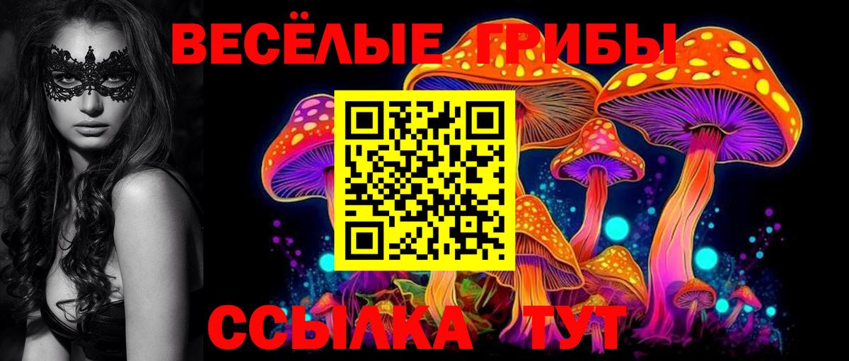 Псилоцибиновые грибы MAGIC MUSHROOMS Краснознаменск