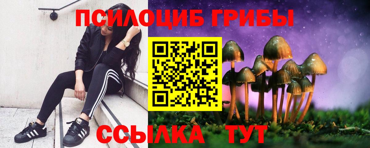 Псилоцибиновые грибы мицелий  Вход с VPN  Краснознаменск  где можно купить   Галлюциногенные грибы мухоморы 